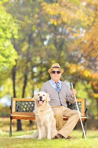 Picture of elderly man sitting on a park bench with a guide dog sitting by his feet.